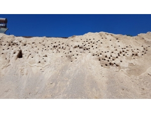 Kırlangıçlar Yuvadan Uçunca Şantiyede Duran İşler Yeniden Başladı