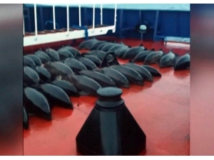 Rusya İle Ukrayna Gerginliği Denizlere Yansıdı