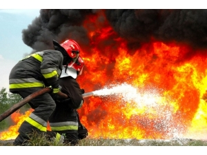 Kocaeli İtfaiyesi, Orman Yangınlarına Karşı Uyardı