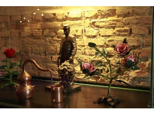 Türkiye’nin İlk Gül Müzesi: Güze