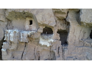 Karaleylek Kendini Gösterdi