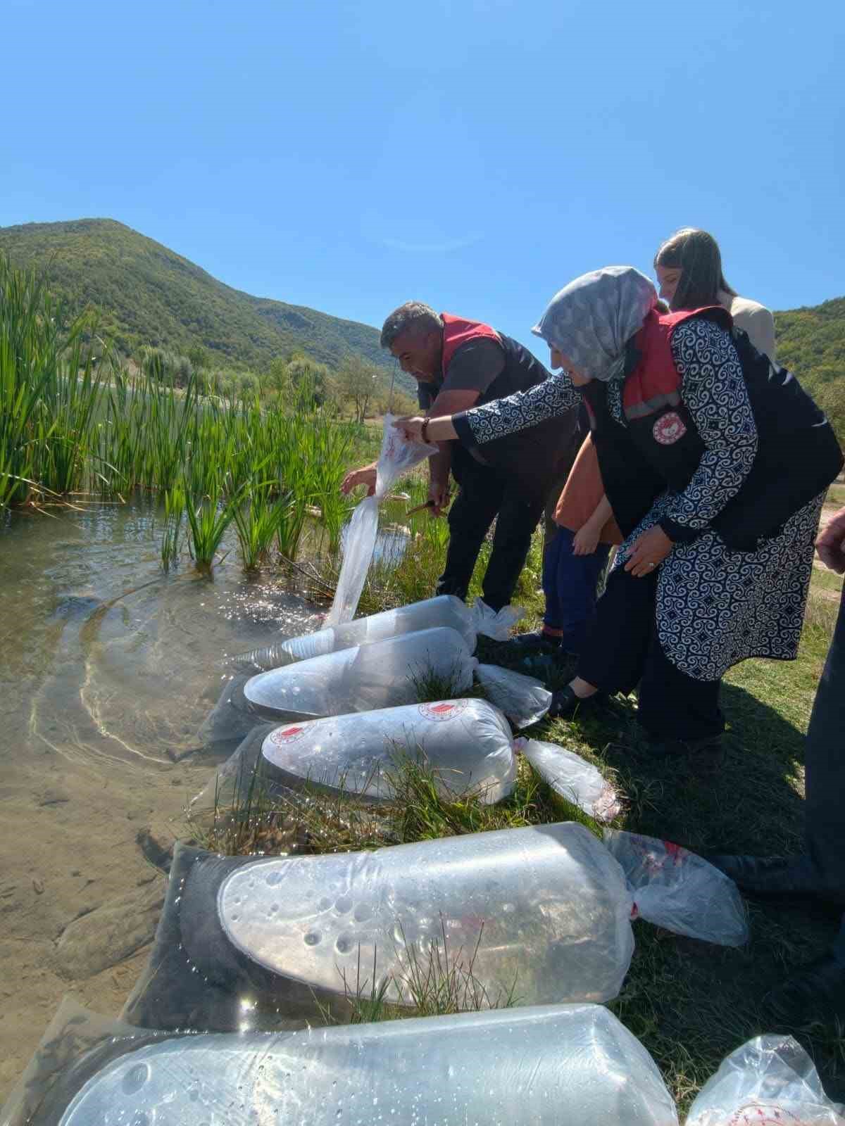 karabuk-teki-goletlere-105-bin-yavru-balik-birakildi