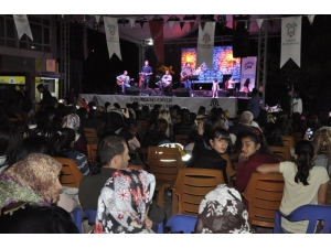 Başkan Keskin Sınırda Konser Verdi