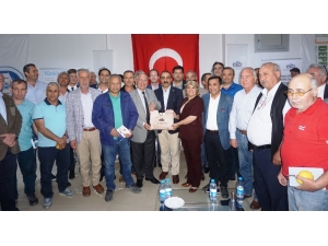 İhracata Uygun Meyve Üretimi Çok Önemli