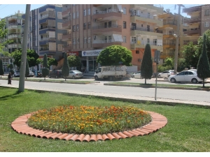 Haliliye’de Parklar Çiçeklerle Donatıldı