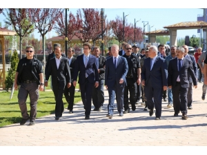 Sivas’ta Hedef 100 Milyon Fidan