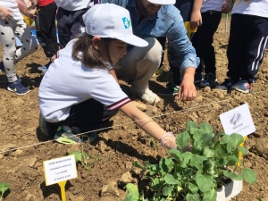 İzmit’te Minik Eller Toprakla Buluşuyor