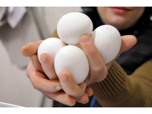 Sahur Sofrasında Yumurtaya Dikkat