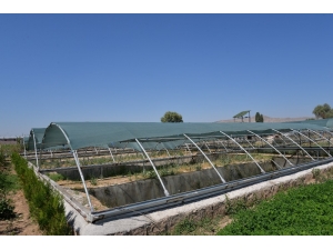 Kayseri’de Ürettiği Sülükleri Dünyaya Pazarlıyor