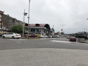 Dünya’nın En Yaşlı Ağacı İçin Yön Tabelası İstediler