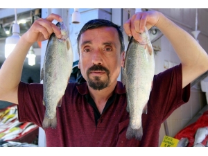 Ramazan, Balıkçıların Da Yüzünü Güldürdü