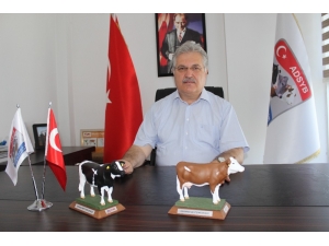 Çok Faydalı Ama Yeterince Tüketmiyoruz