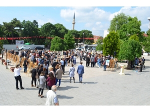 Tekirdağ Valiliği Önünde Resim Sergisi