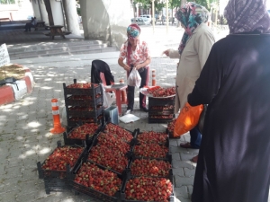 Yerli Çilek Kilosu 5 Tl’den Alıcı Buluyor