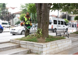 Düzce’de Çevre Düzenleme Çalışmaları Hızlandı