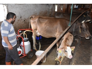 Dev Yatırım, Bingöl’e Aylık 60 Milyon Lira Sıcak Para Bırakacak