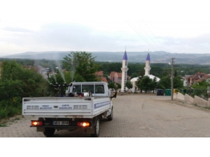 Belediyeden İlaçlama Ve Dezenfeksiyon Çalışması