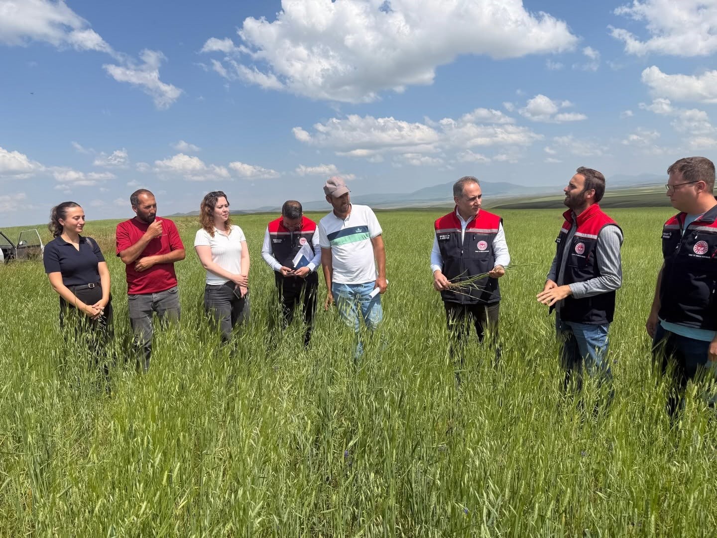 kars-in-ata-tohumu-kavilca-gelecege-tasiniyor