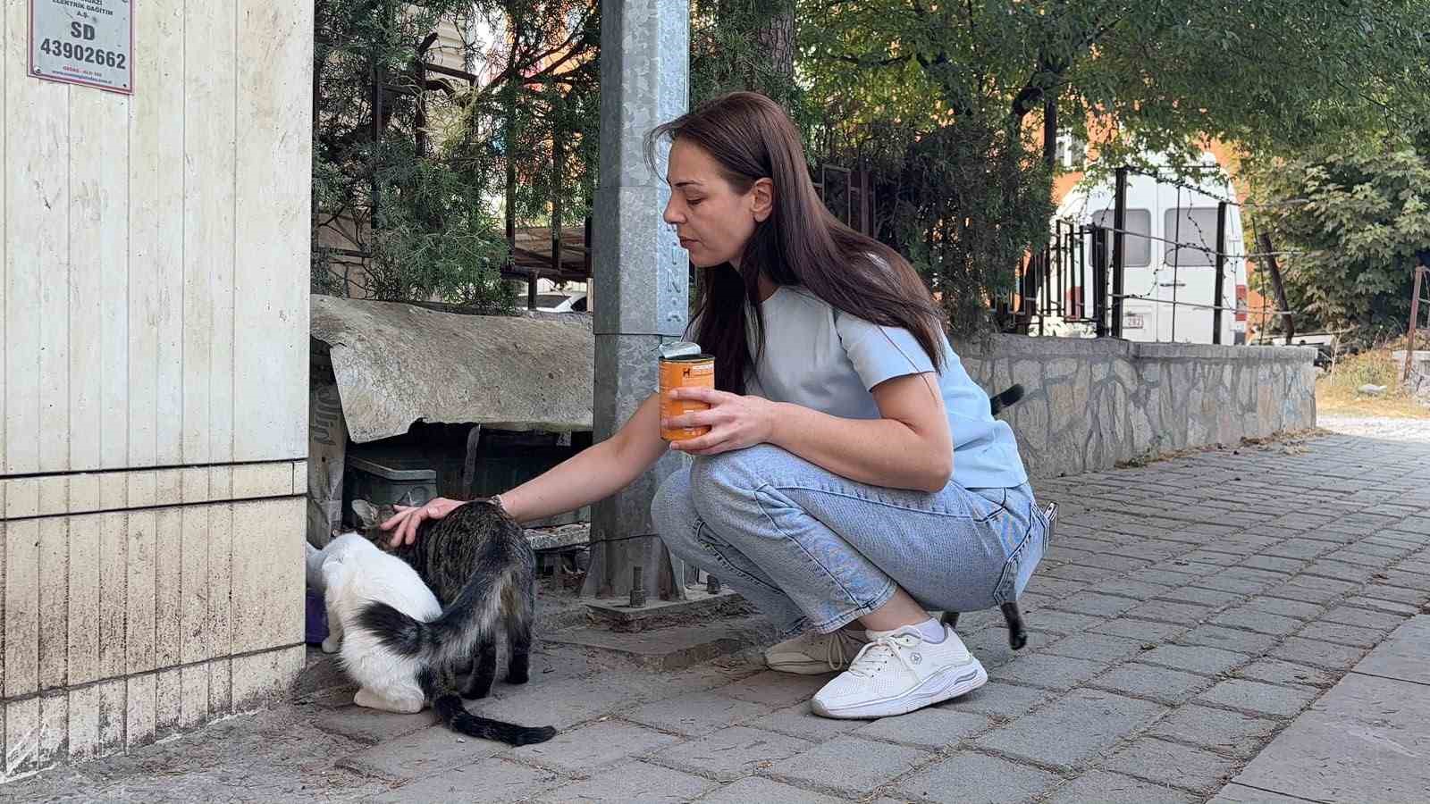 kutahya-da-kedi-vahseti-basini-ve-ayaklarini-kesip-apartmanin-onune-biraktilar