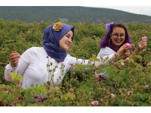 Ardıçlı Köyüne Turist Akını Devam Ediyor