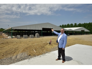 Hayvancılığa Dev Yatırım