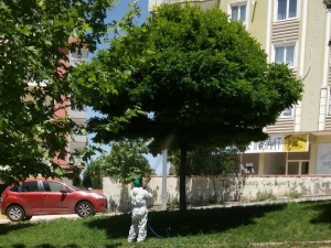 Şahinbey’de Parklar İlaçlanıyor