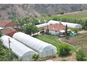 Büyükşehirin Sağladığı Sera Desteği Üreticiyi Kalkındırıyor