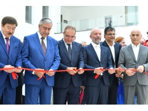 Kktc’nin Doğal Ve Kültür Zenginliği, Tuvallere Yansıtıldı