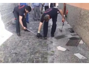 Kanalizasyonda Mahsur Kalan Yavru Yılanı İtfaiye Kurtardı