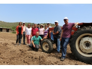 İzmirli Üreticilere Kuşkonmaz Desteği