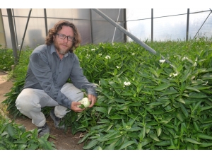 Manisa’da Yetiştirdiği Tropikal Meyveye Sipariş Yağıyor