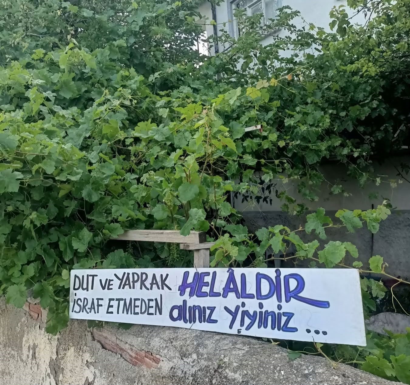 eski-belediye-baskanindan-ornek-davranis