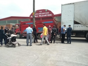 Alaplı’da Genç Çiftçilere Hayvan Desteği