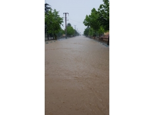 Altıntaş’ta Şiddetli Yağış Sele Neden Oldu