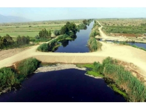 Binlerce Ölü Balık Havadan İlk Kez Görüntülendi