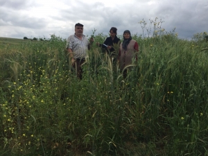 Büyükşehir’in Tohum Desteği İle Verim Arttı