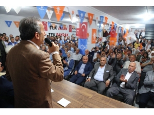 Eker, Çınar Ve Bismil’de