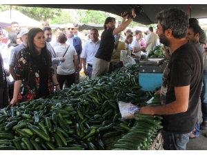 Bakan Sarıeroğlu Çocukluğunun Pazarında Vatandaşlardan Oy İstedi