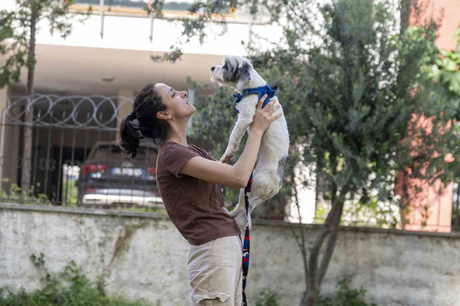 mersin-de-sahiplendirme-kampanyasiyla-bin-927-kopek-yeni-yuvasina-kavustu