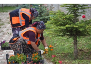 Cami Bahçeleri Çiçek Açtı