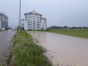 Emetli Çiftçinin 1 Yıllık Emeği Yarım Saatte Yok Oldu