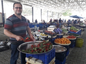 Doğal Ürünler Pazarı