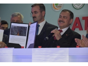 Bakan Eroğlu’ndan Geçici Hayvan Bakımevi İçin Destek Sözü