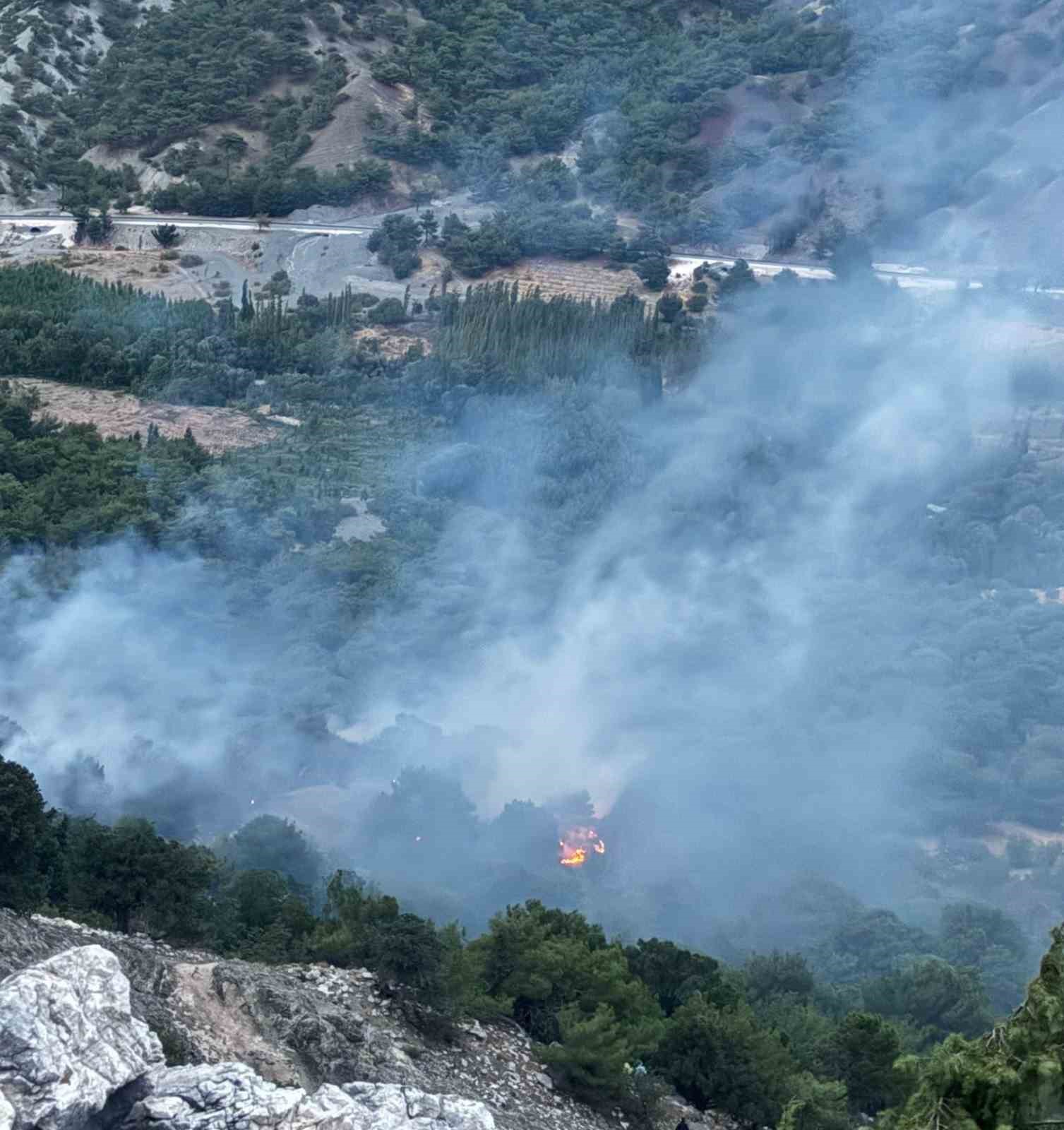 dusen-yildirim-orman-yanginina-neden-oldu
