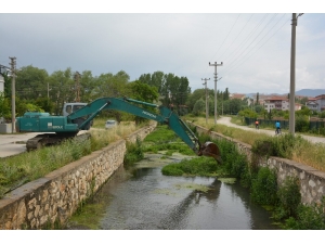 Büyük Menderes Nehrinde Temizlik Çalışmaları