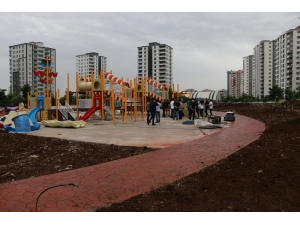 Kayapınar’a 300 Dönümlük Yeşil Alan Oluşturuluyor