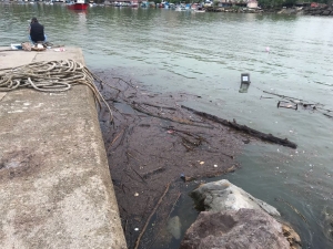 Yağmurla Birlikte Balıkçı Barınağında Kirlilik Oluştu