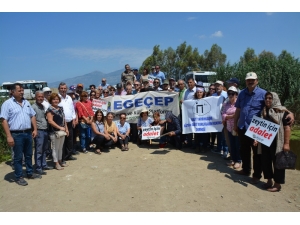 Söke’de Çevrecilerden Balık Ölümleri Eylemi