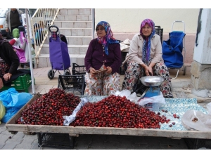 Çanakkale’de Kiraz Üreticisi Endişeli