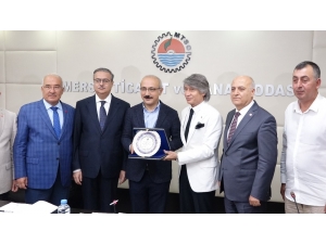 Bakan Elvan: "Mersin’de İşsizlik Sorununu 3 Büyük Proje İle Çözeceğiz"